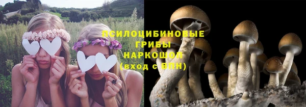 герыч Кулебаки