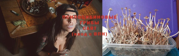 2c-b Кукмор