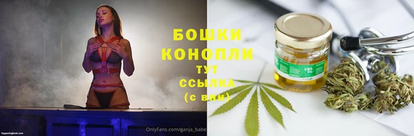 2c-b Кукмор